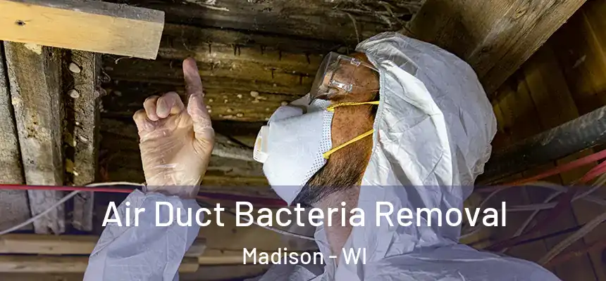 Air Duct Bacteria Removal Madison - WI