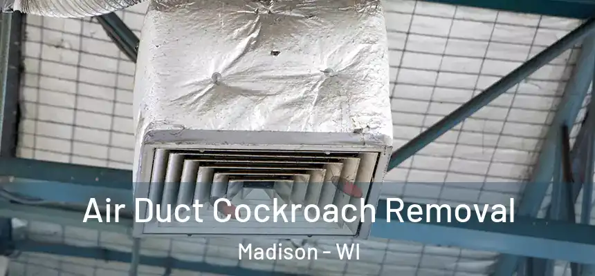 Air Duct Cockroach Removal Madison - WI
