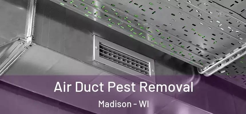 Air Duct Pest Removal Madison - WI