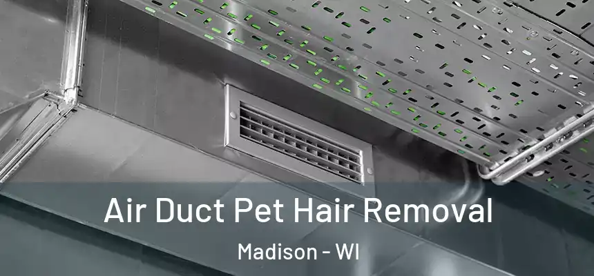 Air Duct Pet Hair Removal Madison - WI