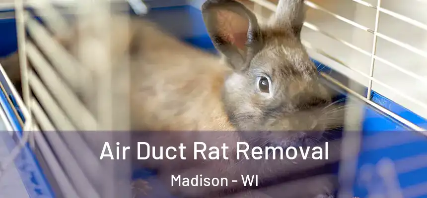 Air Duct Rat Removal Madison - WI