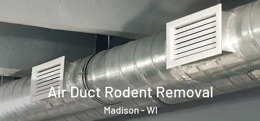Air Duct Rodent Removal Madison - WI