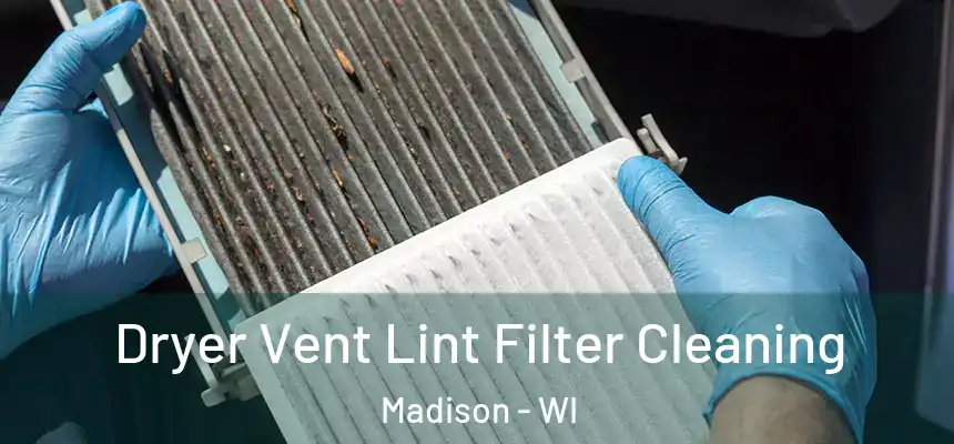Dryer Vent Lint Filter Cleaning Madison - WI