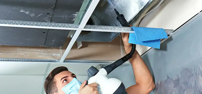 Our Air Duct Rodent Removal Services in Madison, WI