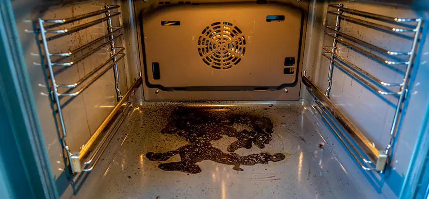 Our Dryer Vent Mold Cleaning Services in Madison, WI