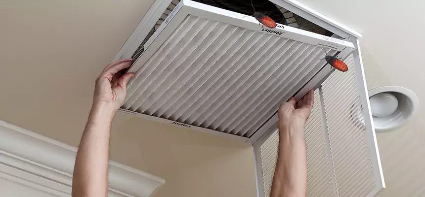 Our Insect Removal from Air Ducts Services in Madison, WI