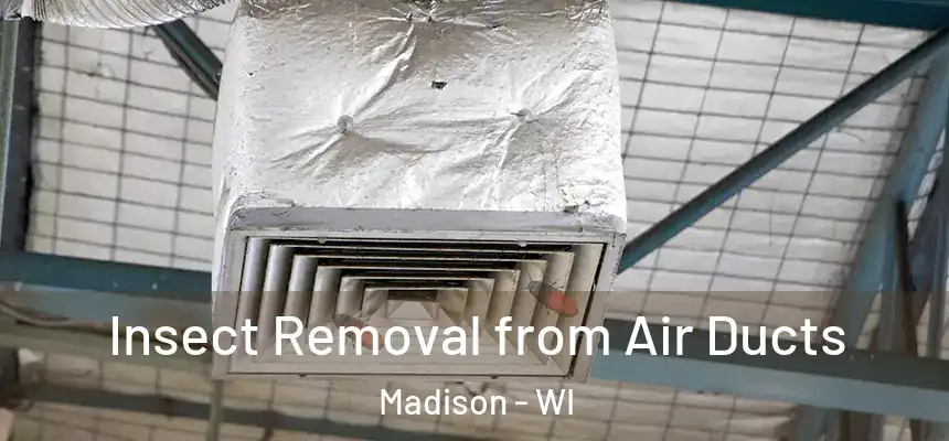  Insect Removal from Air Ducts Madison - WI