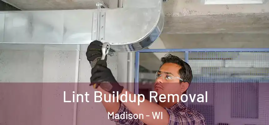 Lint Buildup Removal Madison - WI