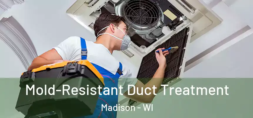 Mold-Resistant Duct Treatment Madison - WI