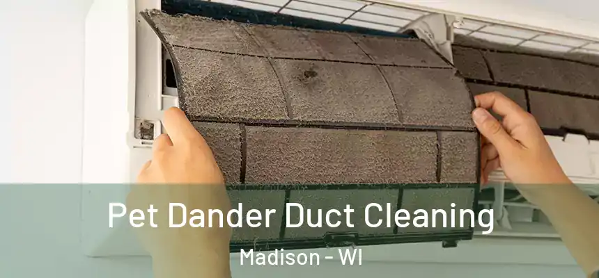 Pet Dander Duct Cleaning Madison - WI