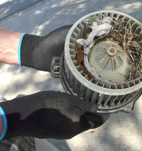 About Air Duct Mice Removal in Madison, WI