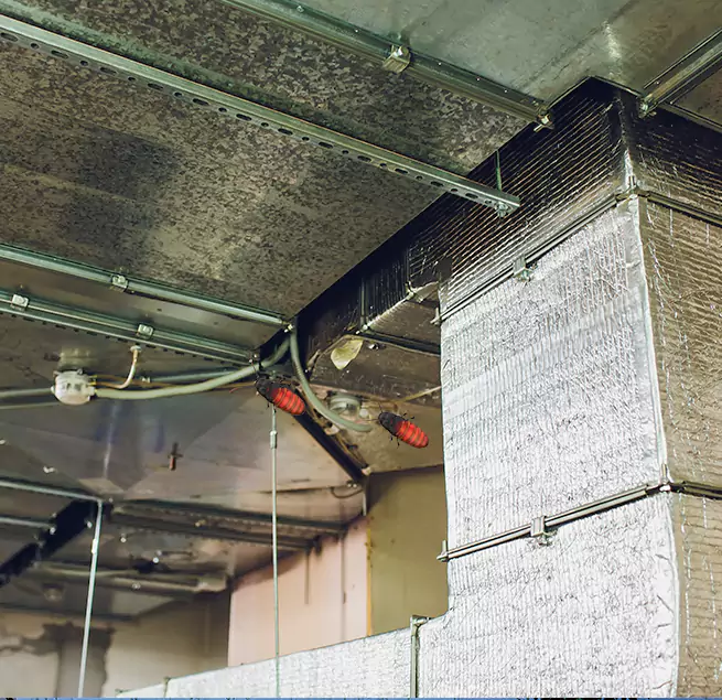 Why Homeowners & Businesses Trust Us in Madison, WI?