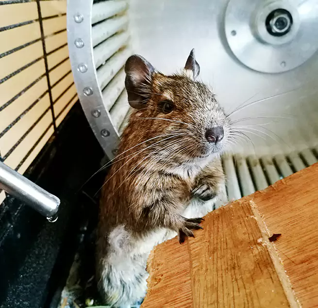 Why Homeowners & Businesses Trust Us Madison, WI