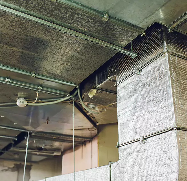 Why Homeowners & Businesses Trust Us in Madison, WI?